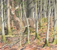 Neil Welliver Deer Etching, Signed Edition - Sold for $1,250 on 05-20-2021 (Lot 670).jpg